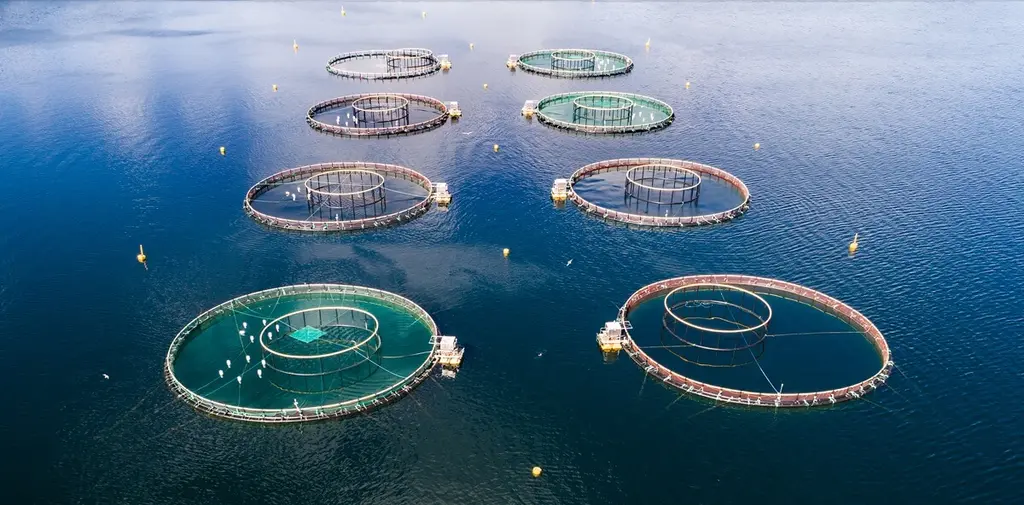 Aquaculture tanks where functional feed additives influence diet performance, fish health and ingredient demand