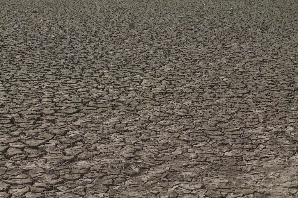 Dry, arid ground