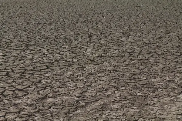 Dry, arid ground