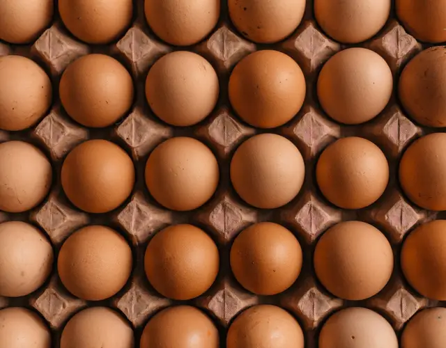 Brown chicken eggs in a cardboard carton