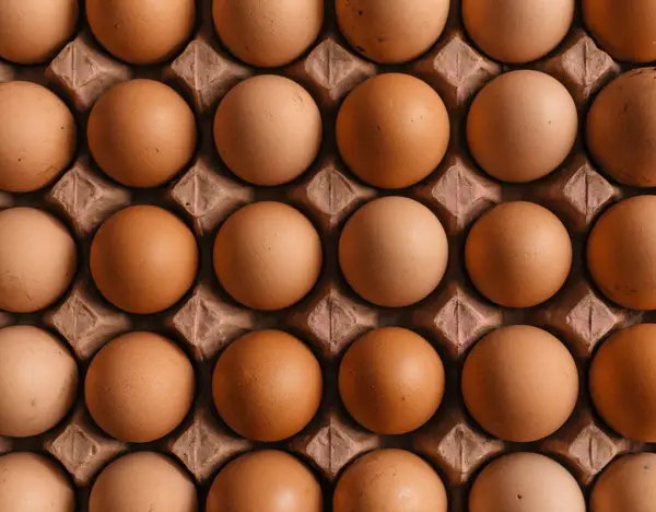 Brown chicken eggs in a cardboard carton