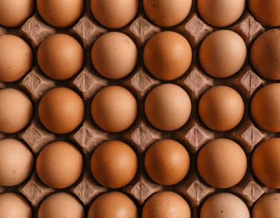 Brown chicken eggs in a cardboard carton