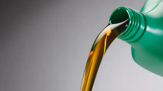 Unlocking Lauric Acid from Black Soldier Fly: Extraction, Benefits, and Applications