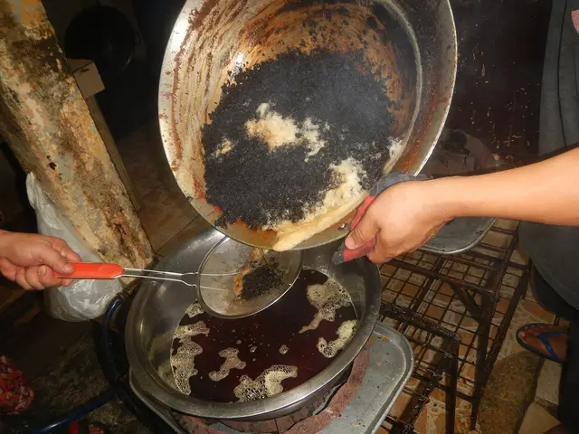 Coconut oil being processed, a common commercial source of lauric acid
