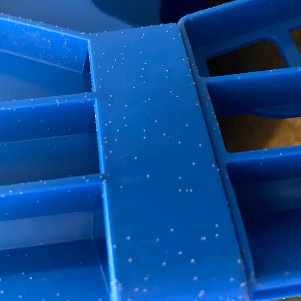 How Emerging Storage Pests Feed on Dried BSF Larvae—and What Farmers Can Do About It