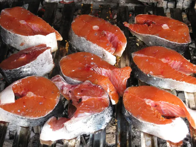Raw salmon fillets